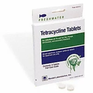 Tetracycline, 500mg 20 Caps